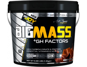 BigJoy Sports Big Mass +GH Factors