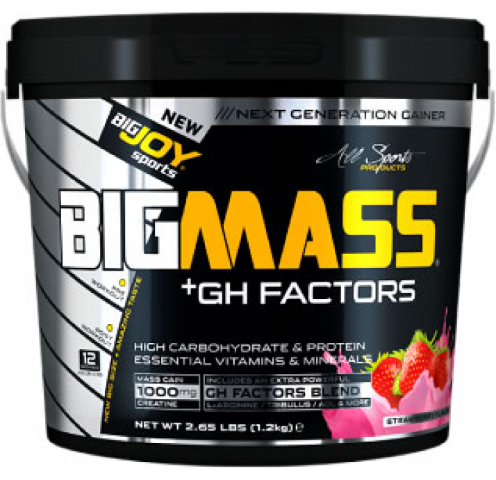 BigJoy Sports Big Mass +GH Factors Çikolata 1200 Gr