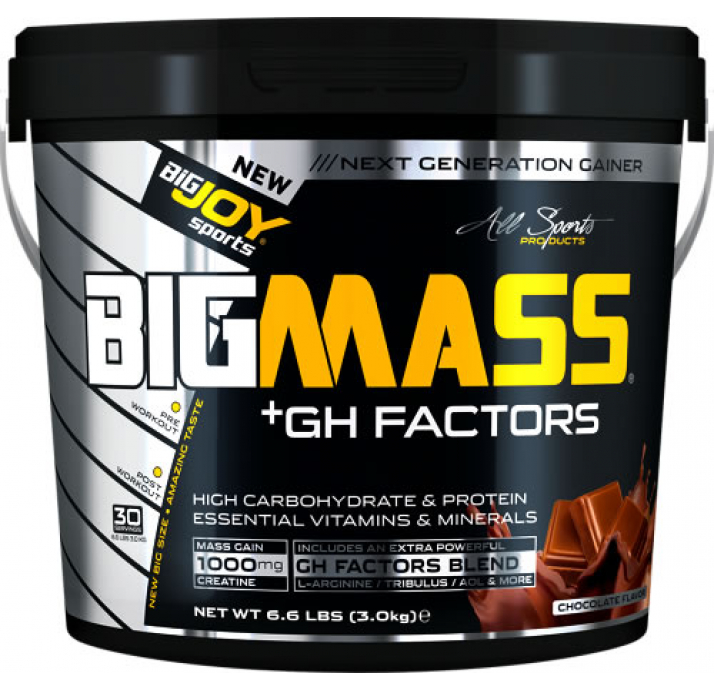 BigJoy Sports Big Mass +GH Factors Çilek 3000 Gr