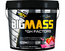 BigJoy Sports Big Mass +GH Factors