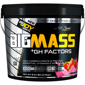 BigJoy Sports Big Mass +GH Factors Çilek 3000 Gr