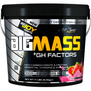 BigJoy Sports Big Mass +GH Factors